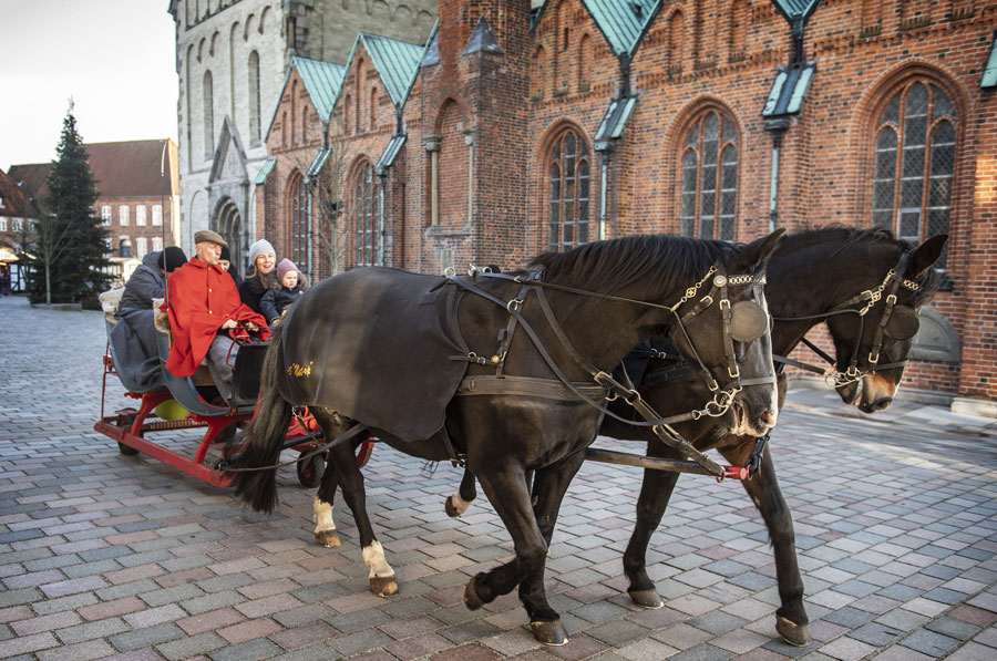 To heste trækker en slæde med passagerer forbi Domkirken. 